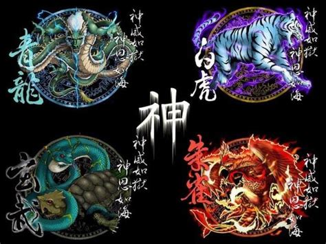 青龍龍|四大神獸(四神獸):起源,青龍,來歷,地名,年號,區別,白虎,來歷,象徵,。